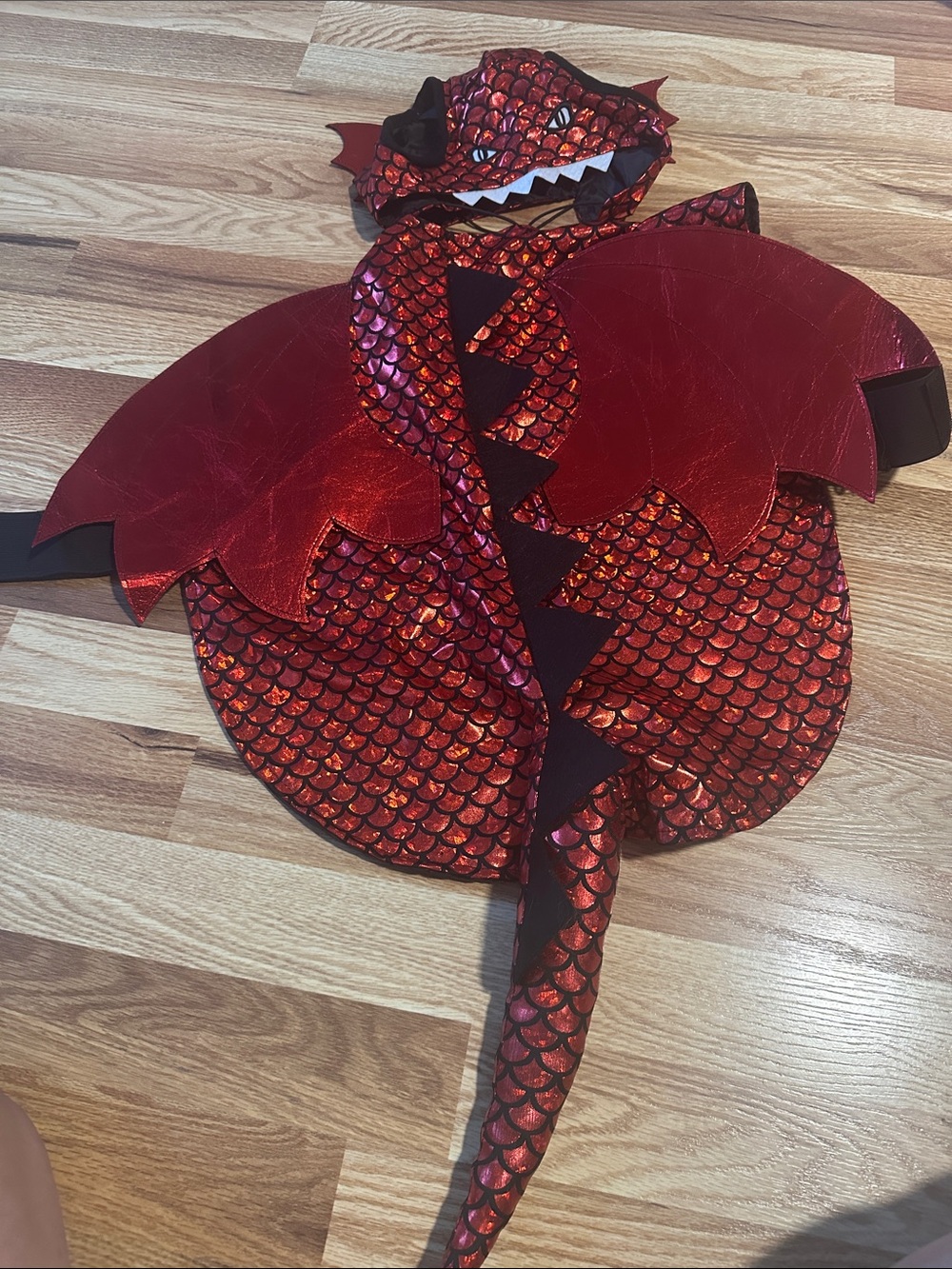 Red Dragon Dog Costume Cape with Hood large